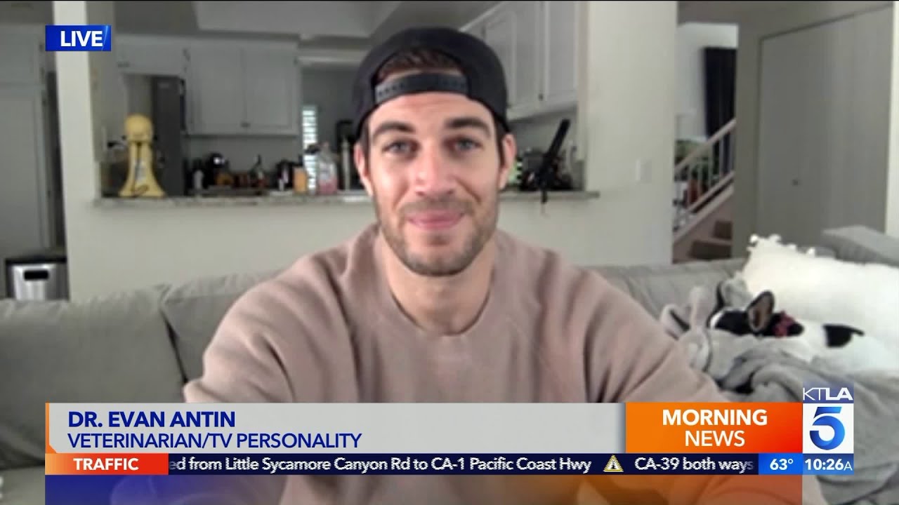 Instagram’s 'Sexiest Veterinarian' Dr. Evan Antin on his New Memoir “World Wild Vet