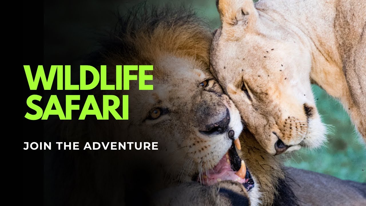 Hidden Wonders of the Jungle: Incredible Wildlife Encounters 🐾