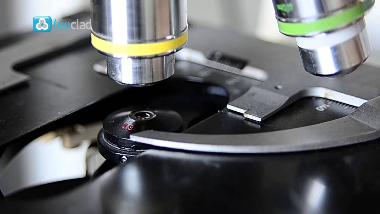 BioClad Wall Cladding