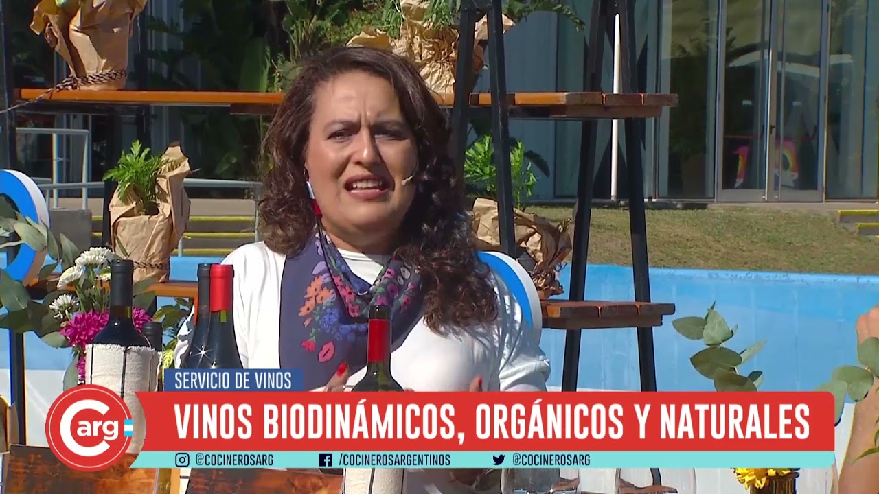 TODO SOBRE VINO ORG&Aacute;NICO BIODINAMICO Y NATURALES por Marce Rienzo