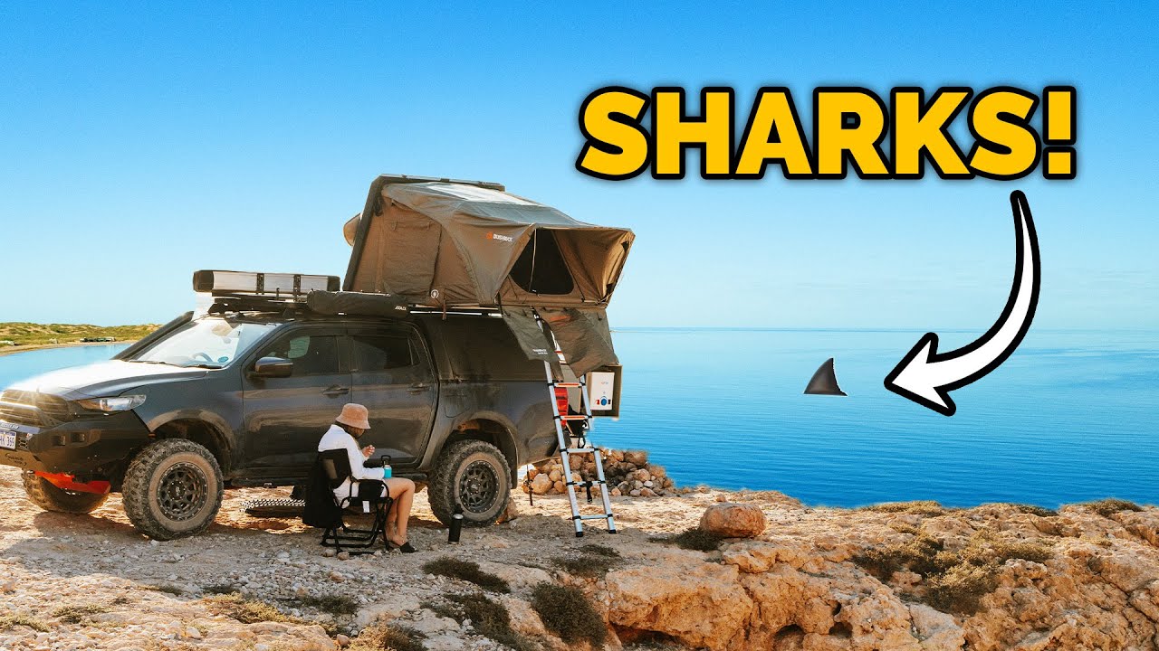 Best 4x4 Beach Track! Paddling with Sharks, Catching Fish & Getting Bogged!