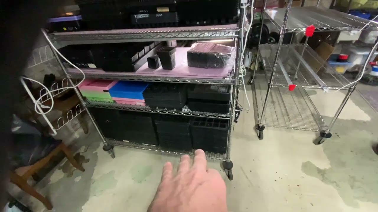 Winter project in the freezing cold!