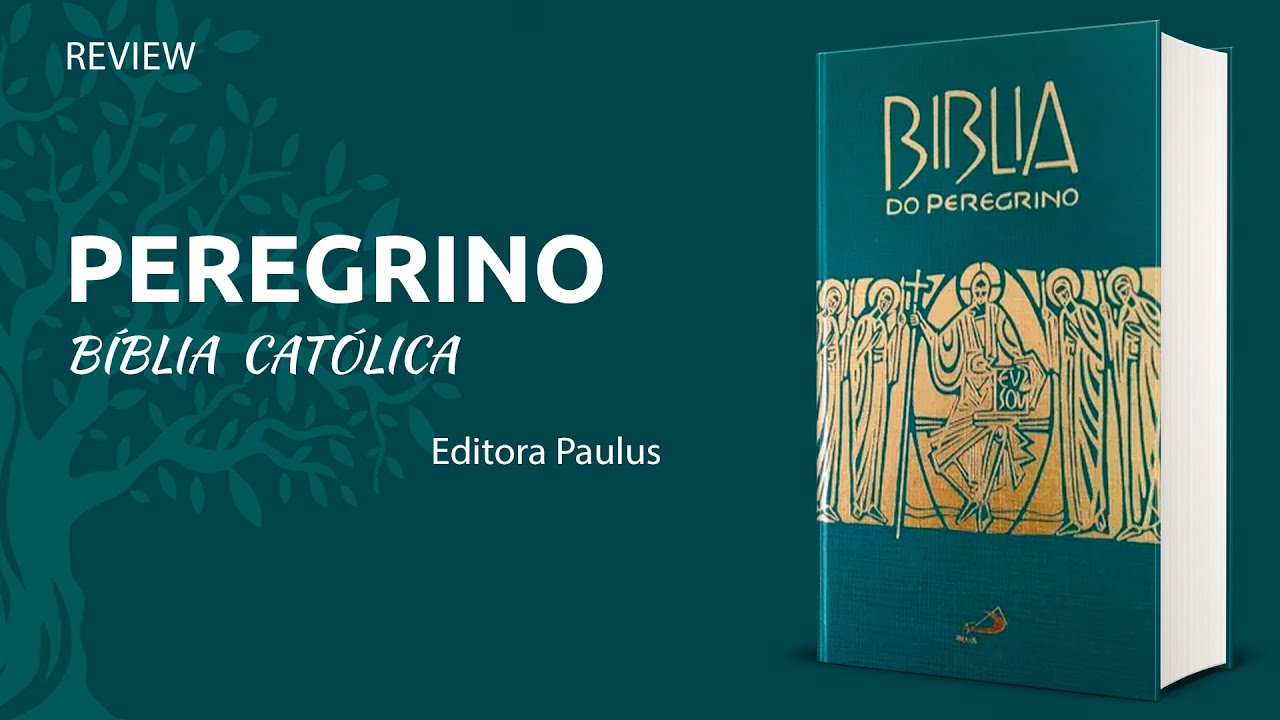 Bíblia do Peregrino - Analise