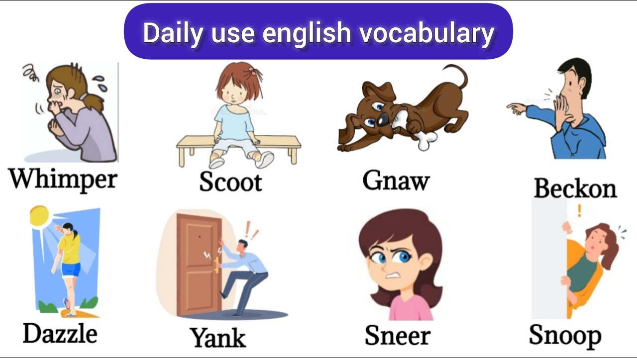 Daily Use English Words | Vocabulary | Expand your English vocabulary