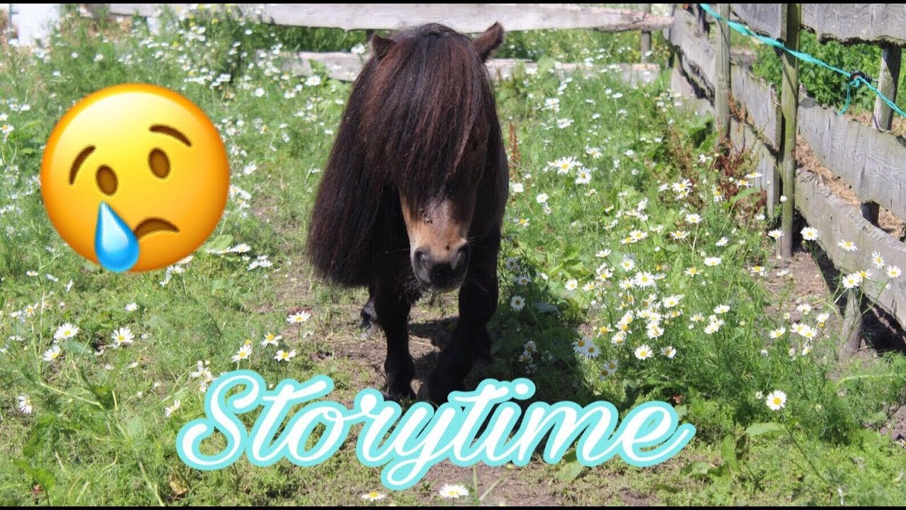 PONY DOOD DOOR KATTENKWAAD | STORYTIME | Dierenopvang Sublime