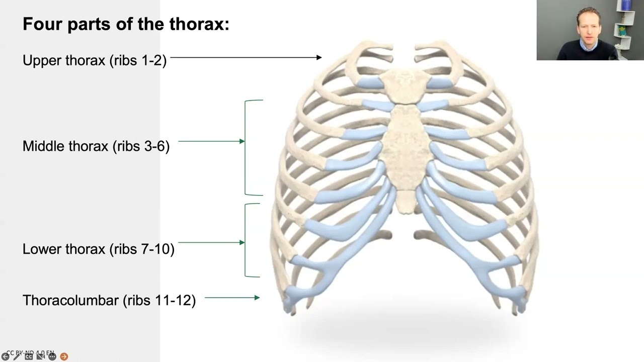 United Ribs: Session 1 -  Theory and Practice