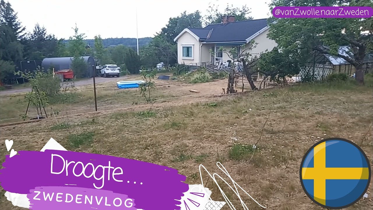 Droogte in Zweden | Zwedenvlog | zelfvoorzienend proberen te leven op een startende homestead '23