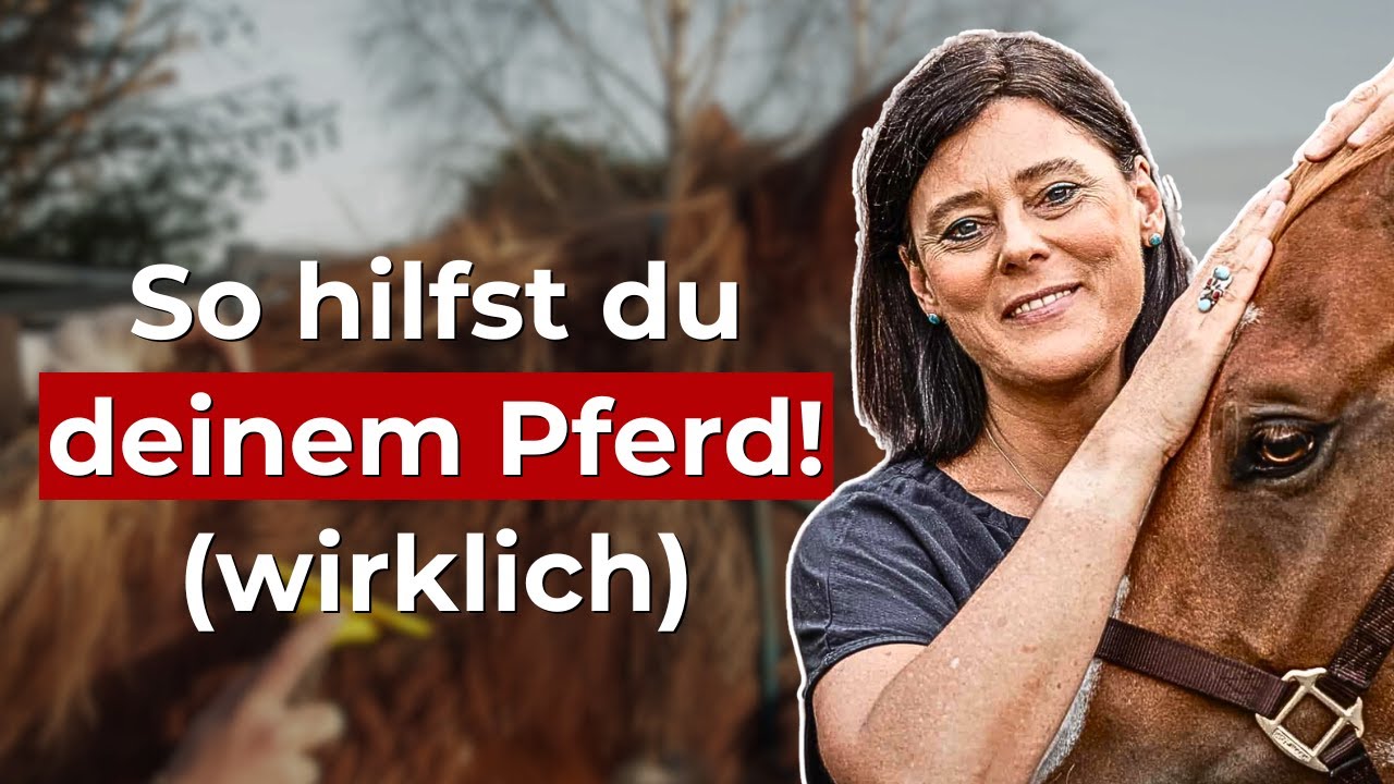 Pferde Fellwechsel: Darüber spricht niemand! (wichtig)