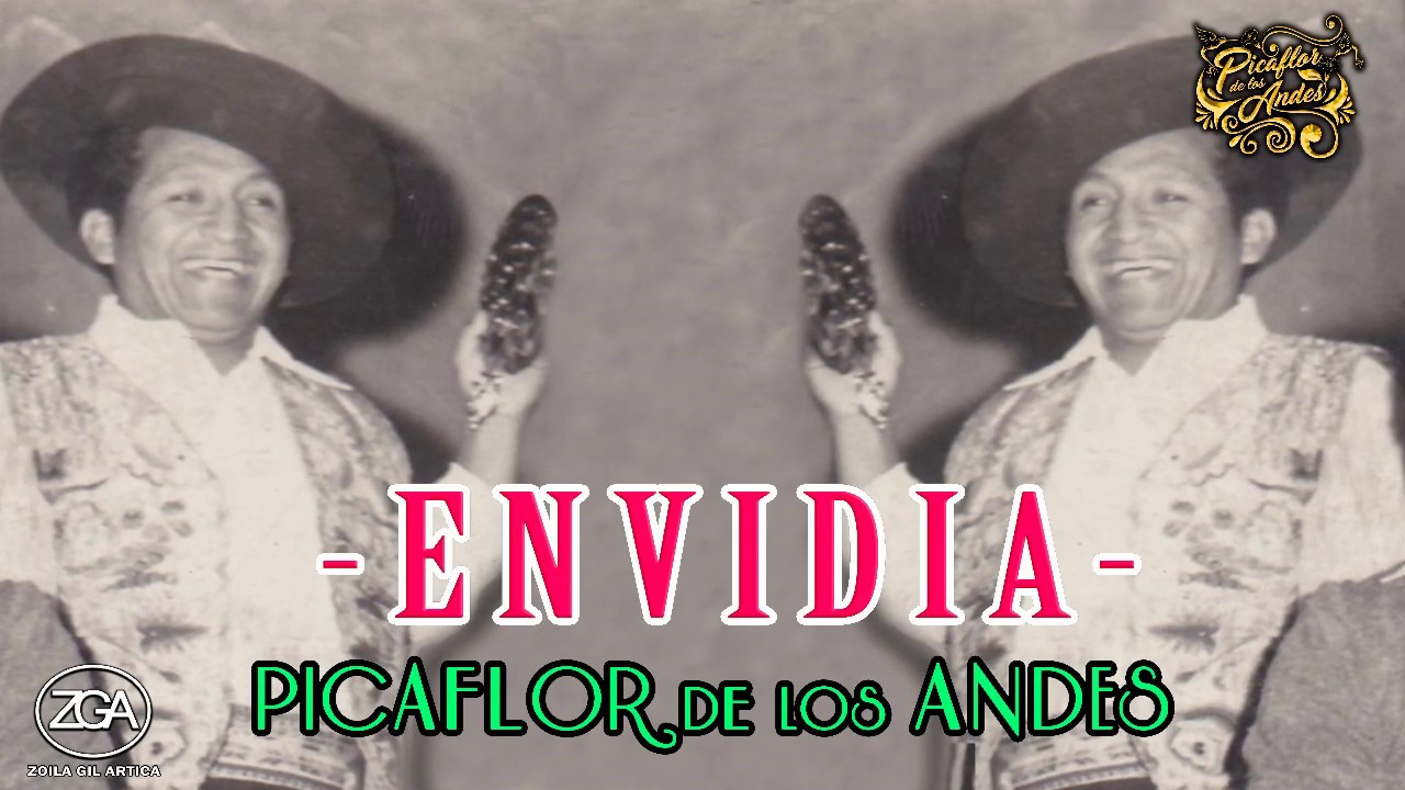 Picaflor de los Andes - ENVIDIA