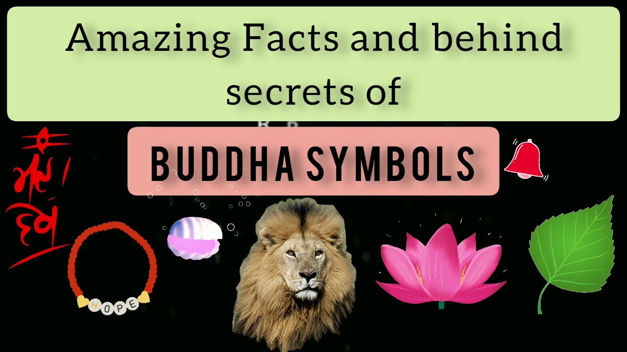 Truth Behind BUDDHIST Symbols|Amazing Facts|LEARN with SARA
