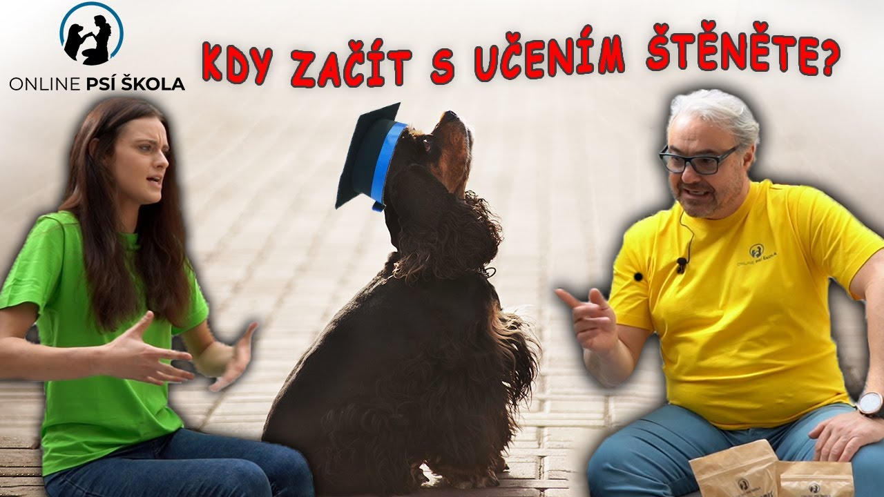 30. d&iacute;l Kdy zač&iacute;t s v&yacute;chovou &scaron;těň&aacute;tka - Online ps&iacute; &scaron;kola s Martinem Zounarem