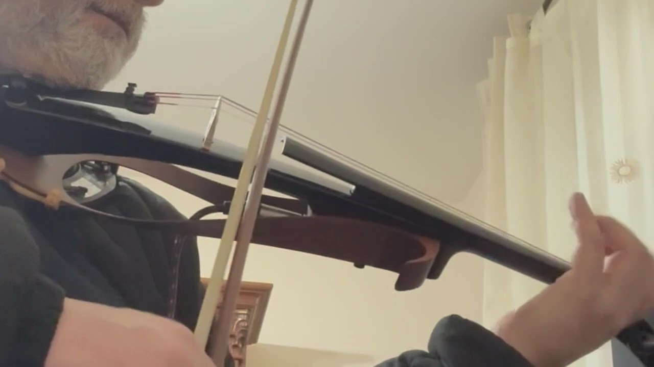 Bye bye blackbird- violin: Angelo Cerrato 