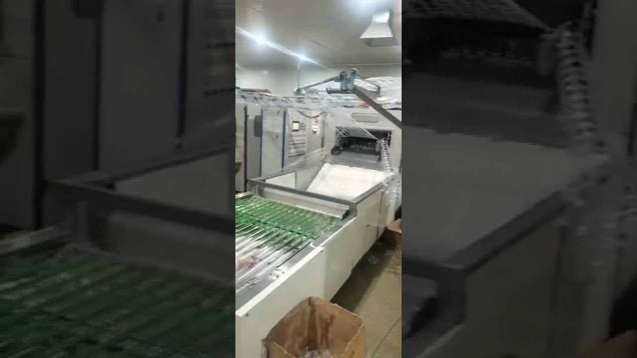 Manufacturing of disposable plastic glass, Automatic Plastic Thermoforming Machine#jhsmachinery