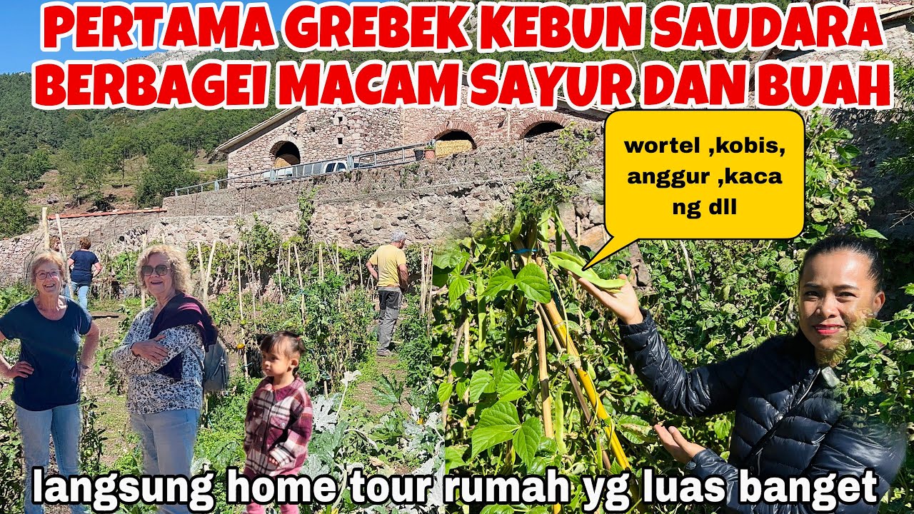 GREBEK KEBUN SAUDARA SUAMI, KAGET BISA BERBAGEI BUAH & SAYUR ADA NGAK PERNAH BELI, KEADAAN RUMAHNYA?