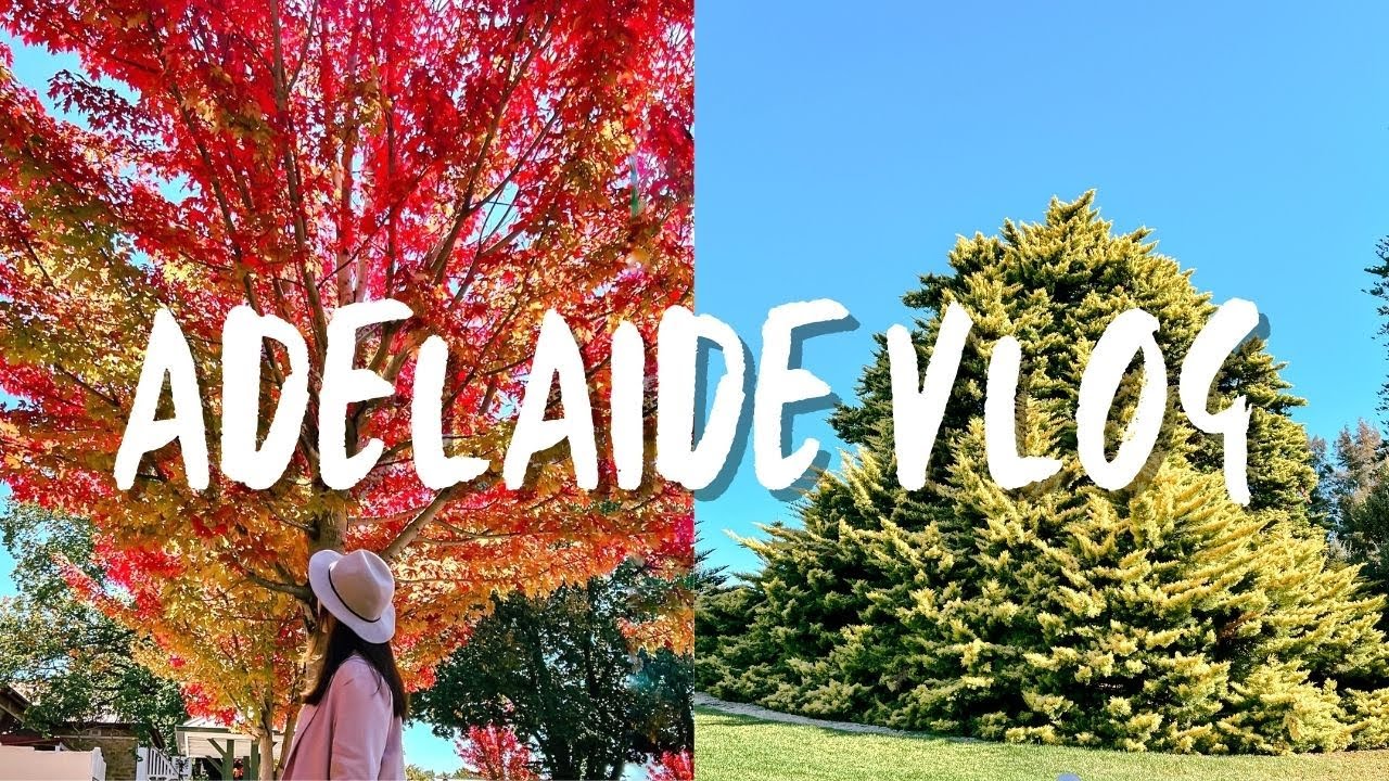 Adelaide Vlog