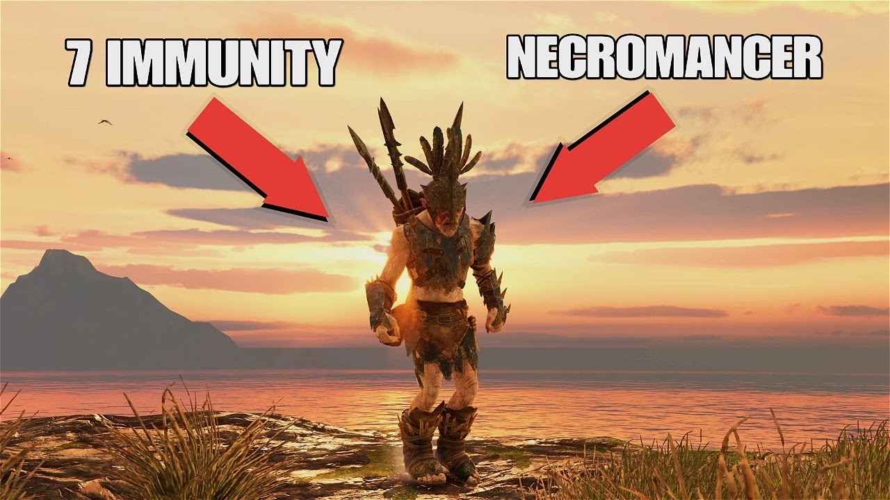 I MADE A 7 IMMUNITY NECROMANCER