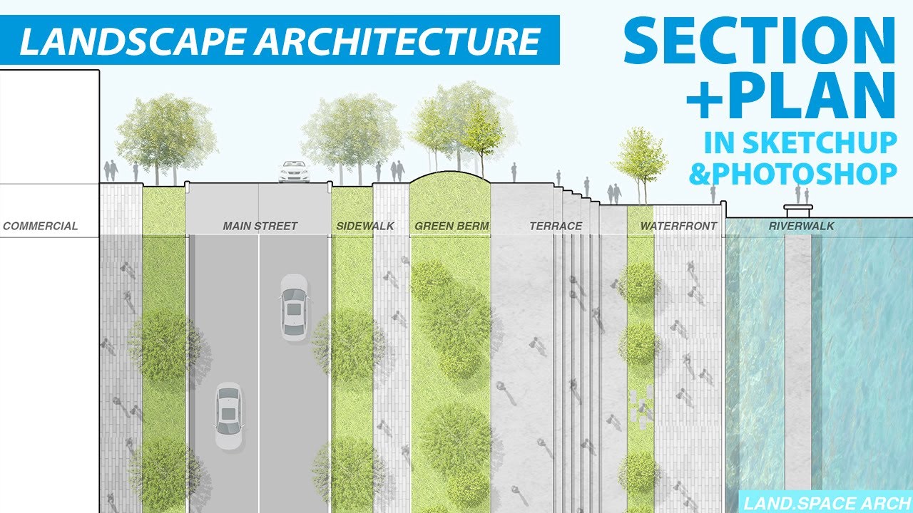 Landscape Design Section and Plan Rendering in Sketchup and Photoshop