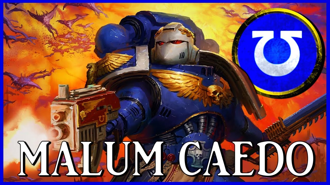 MALUM CAEDO - Sternguard Crusader - #Shorts | Warhammer 40k Lore