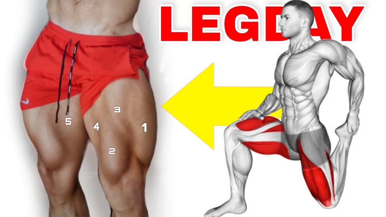 Super Treino de Pernas Completo Com Haltetes