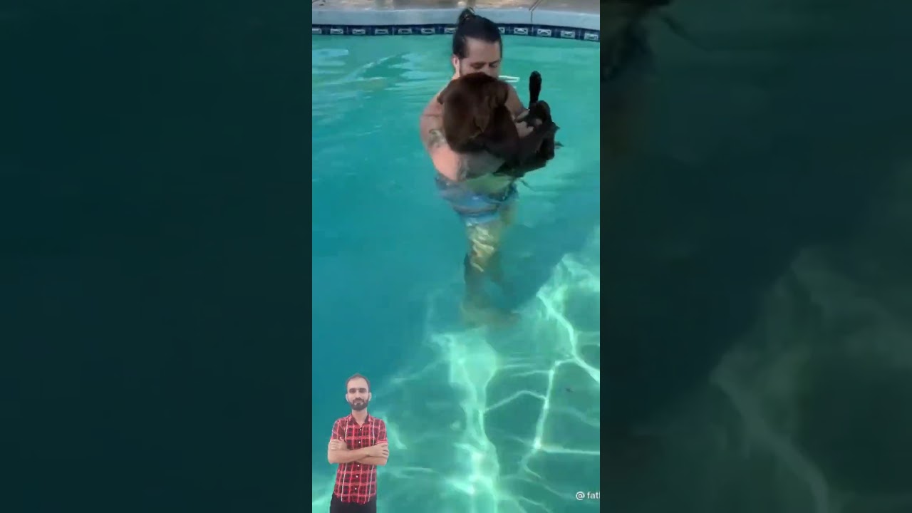 Hope After Hardship: Dog Rescue Stories 