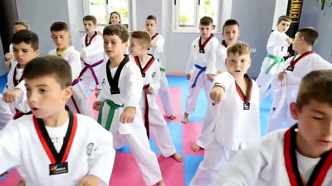 Welcome to Akademia e Arteve Marciale Vllaznia