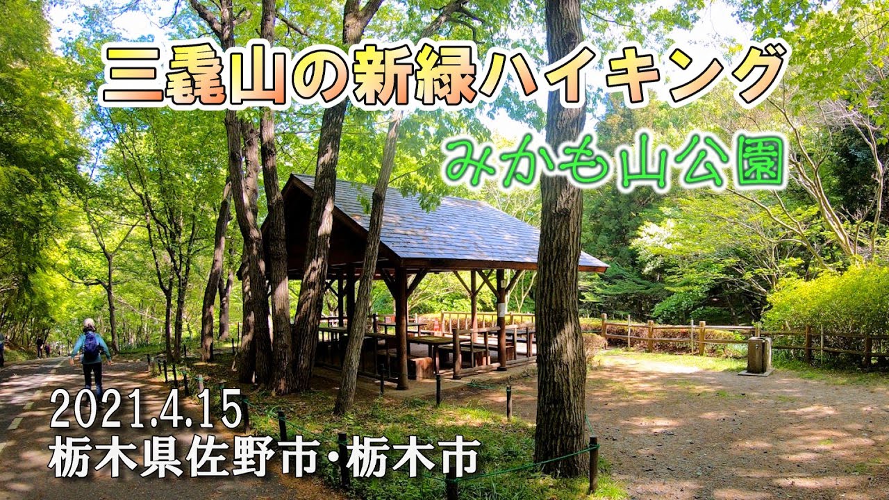 みかも山公園 (三毳山) の新緑ハイキング ~マイナスイオンを浴びて身も心もリフレッシュ~ 2021年4月15日 Fresh Green Hiking : 栃木県佐野市&栃木市 : 4K