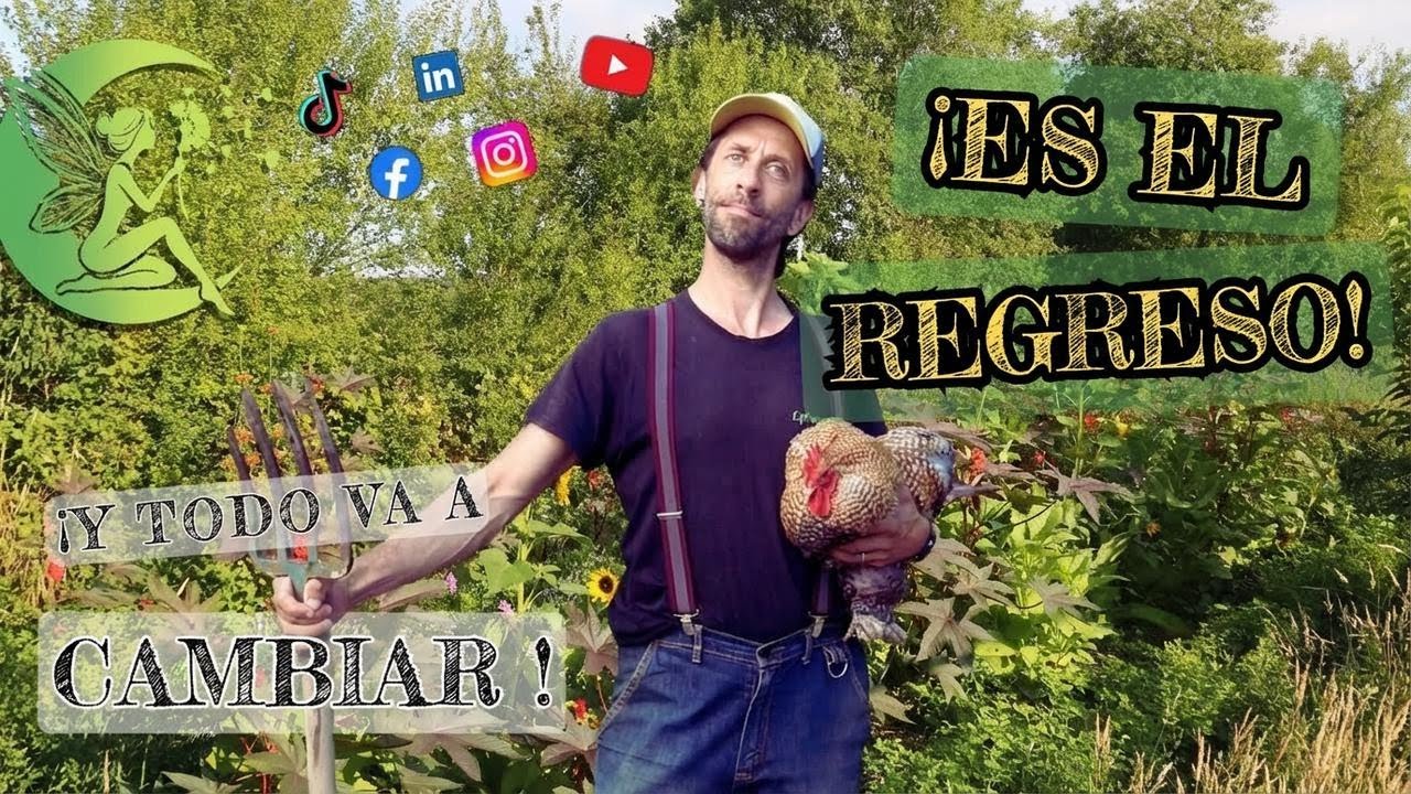 Desaparecí dos meses... ¡Esto es lo que viene!