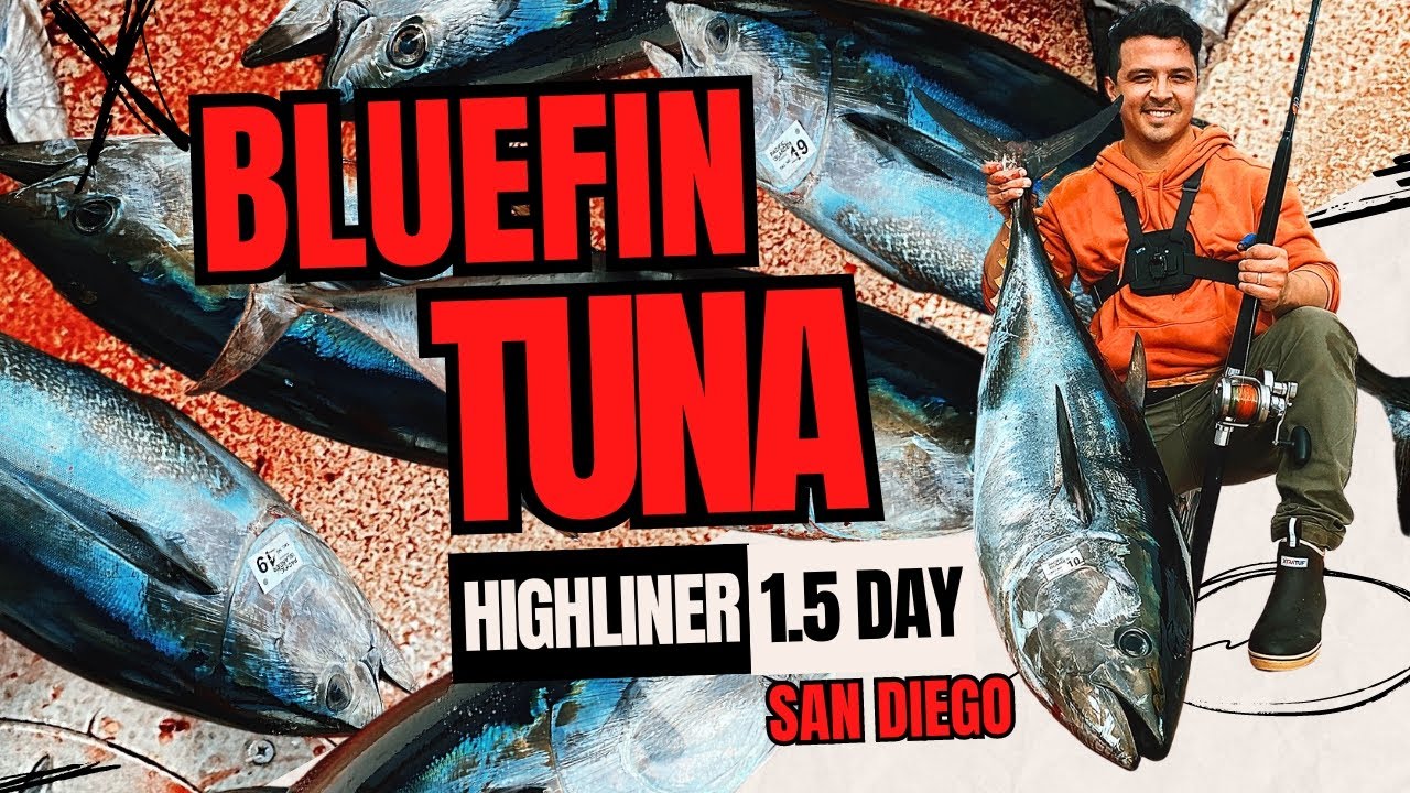 Bluefin Tuna Fishing Deep Sea - Seaforth Landing San Diego
