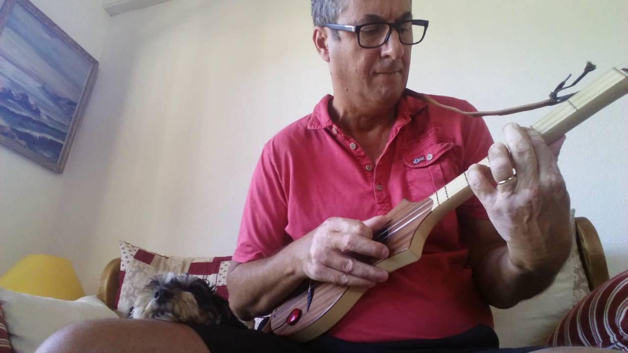 The Boxer - Simon & Garfunkel Cover - Seagull Merlin - M4