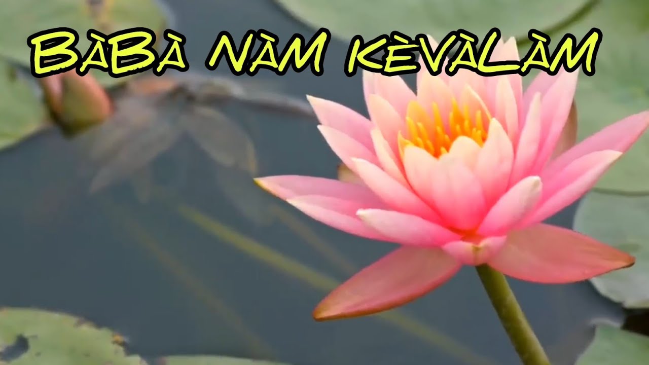 Baba Nam Kevalam Kiirtan | Siddha Mahamantra in 8 Prabhat Samgiita Tunes | 25 Mins Meditation Music