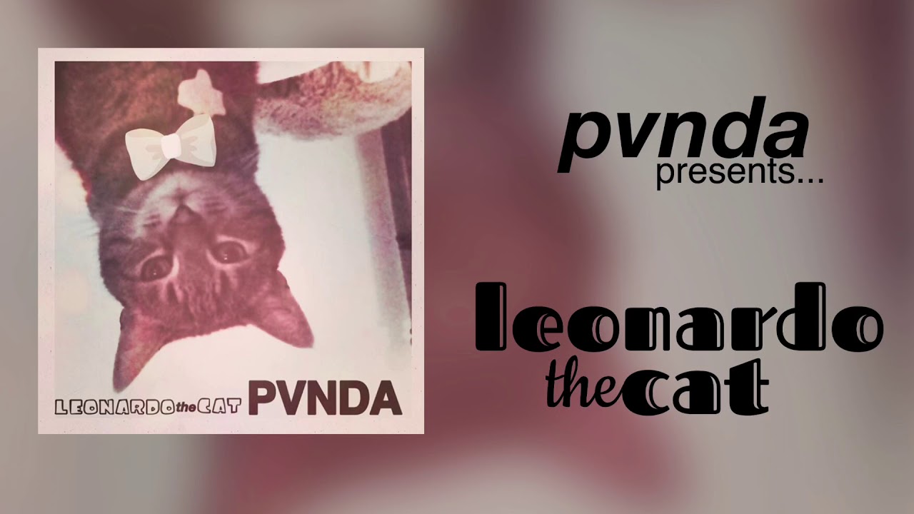 pvnda-leonardo the cat