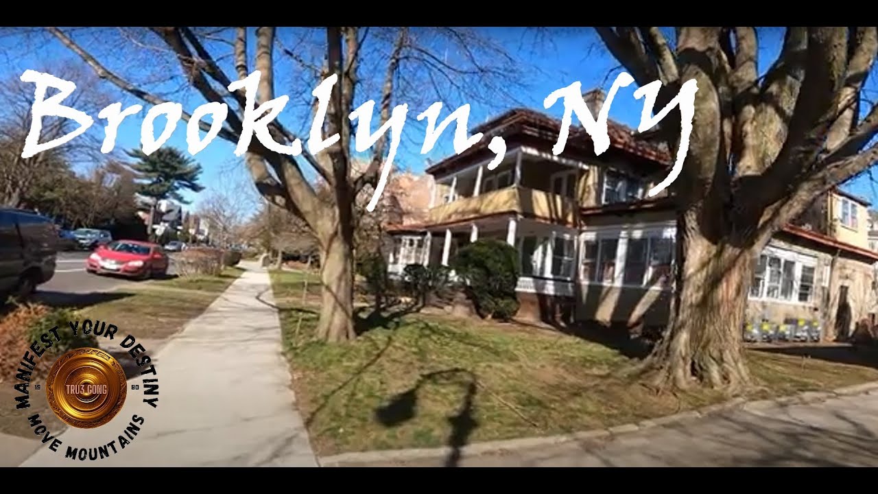 Бруклин, Нью-Йорк Пешеходная экскурсия по Cortelyou Rd. февраль 2023 г.