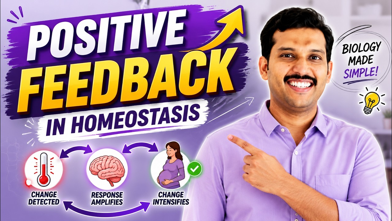 Positive Feedback Mechanism Explained | Physiology with Examples | MBBS Concept