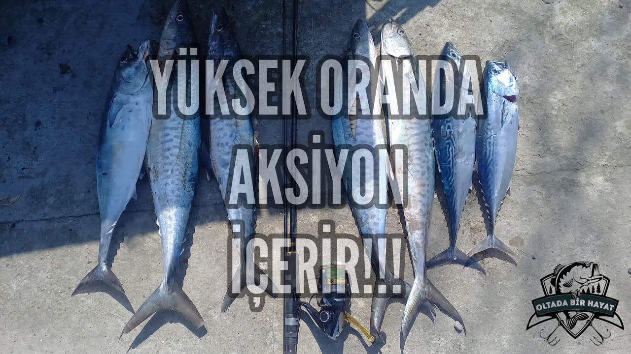 Sırtı Avında Çok Güçlü Balıklar Yakaladık! | 24 Mart 2023 Payas/Hatay #Fish #Fishing #Wahoo