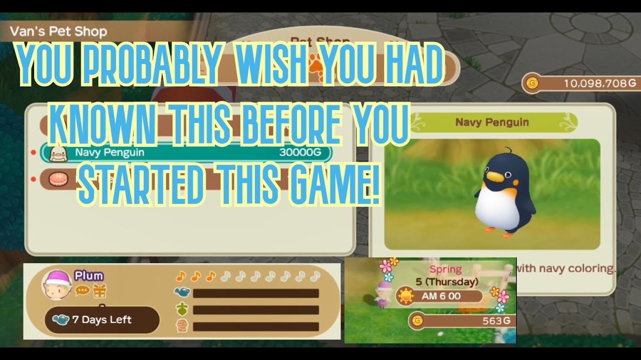 SOME THINGS TO DO IN THE EARLY GAME OF STORY OF SEASONS: FRIENDS OF MINERAL TOWN!