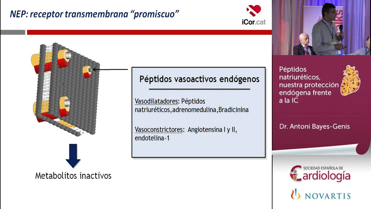 Péptidos natriuréticos, nuestra protección endógena frente a la IC