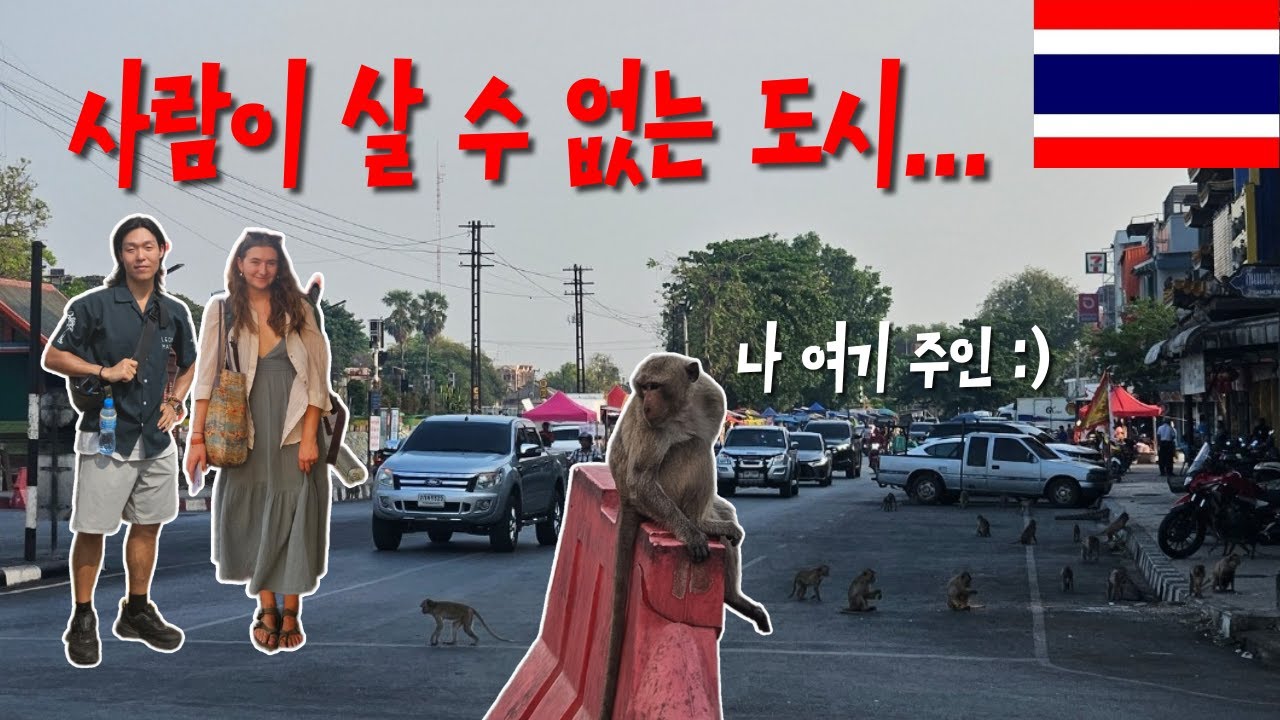 원숭이가 점령한 곳. 혹성탈출 실사판 #태국 #여행 #세계여행