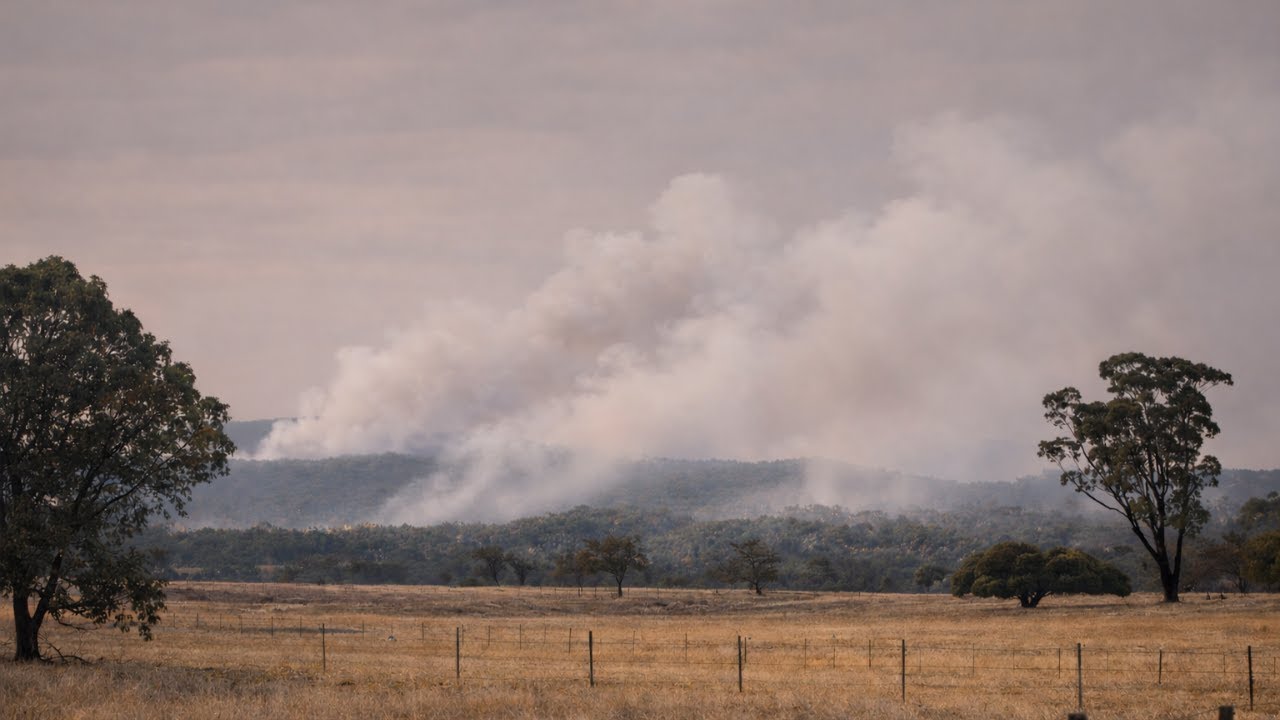Bushfire Smoke, Three Days of Heat & Heartbreak