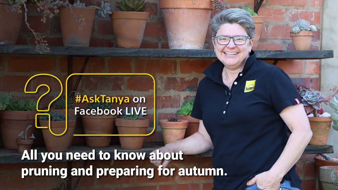 Garden Masterclass LIVE with Tanya Visser