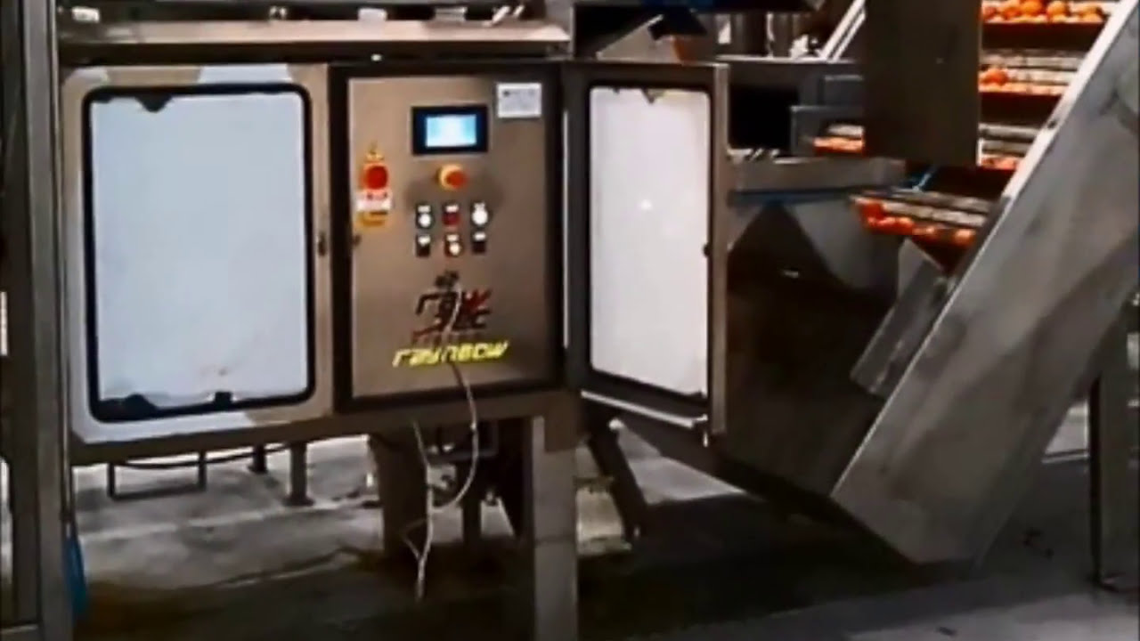 How Raynbow sorting machine sorts whole oranges | RAYTEC VISION SpA