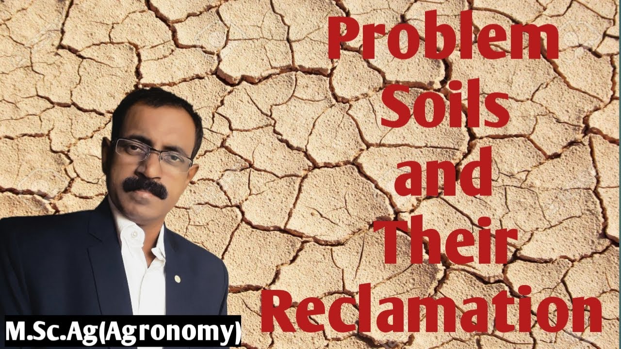 Problem Soils and Their Reclamation Methods