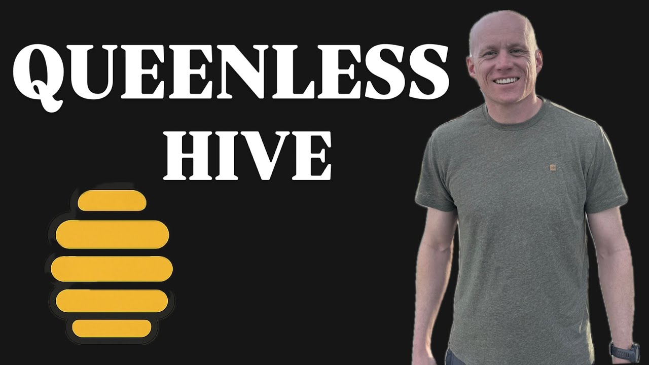 How to Save a Queenless Hive (Step-by-Step Split) #bee #beekeeping