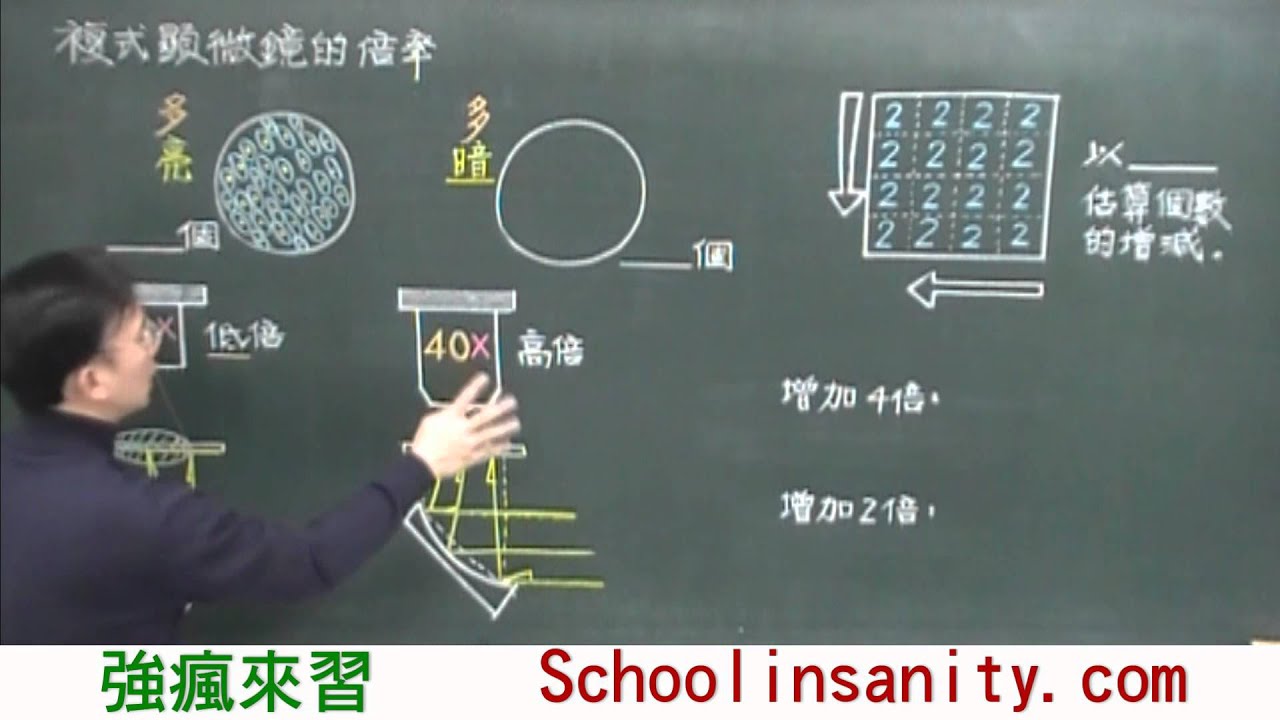 強瘋來習-國中生物01-複式顯微鏡的倍率比較