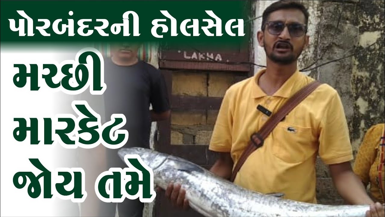 PORBANDER FISH MARKET ! પોરબંદરની હોલસેલ મચ્છી માર્કેટ જોઈ છે તમે