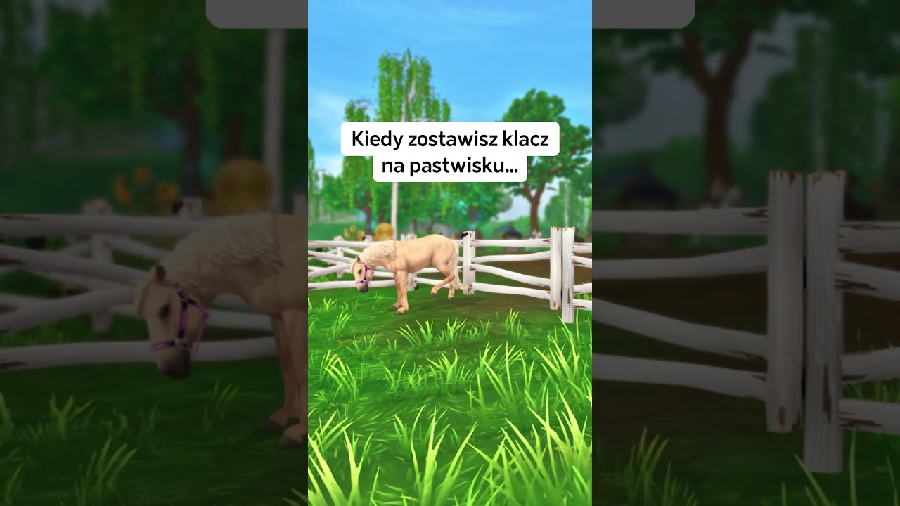 KIEDY ZOSTAWISZ KLACZ NA PASTWISKU... 😤 