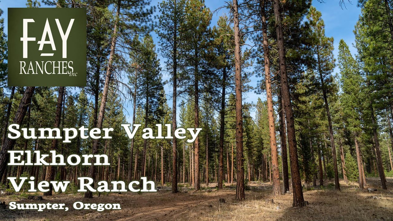 SOLD | Oregon Timber Land for Sale | Sumpter Valley Elkhorn View Ranch
