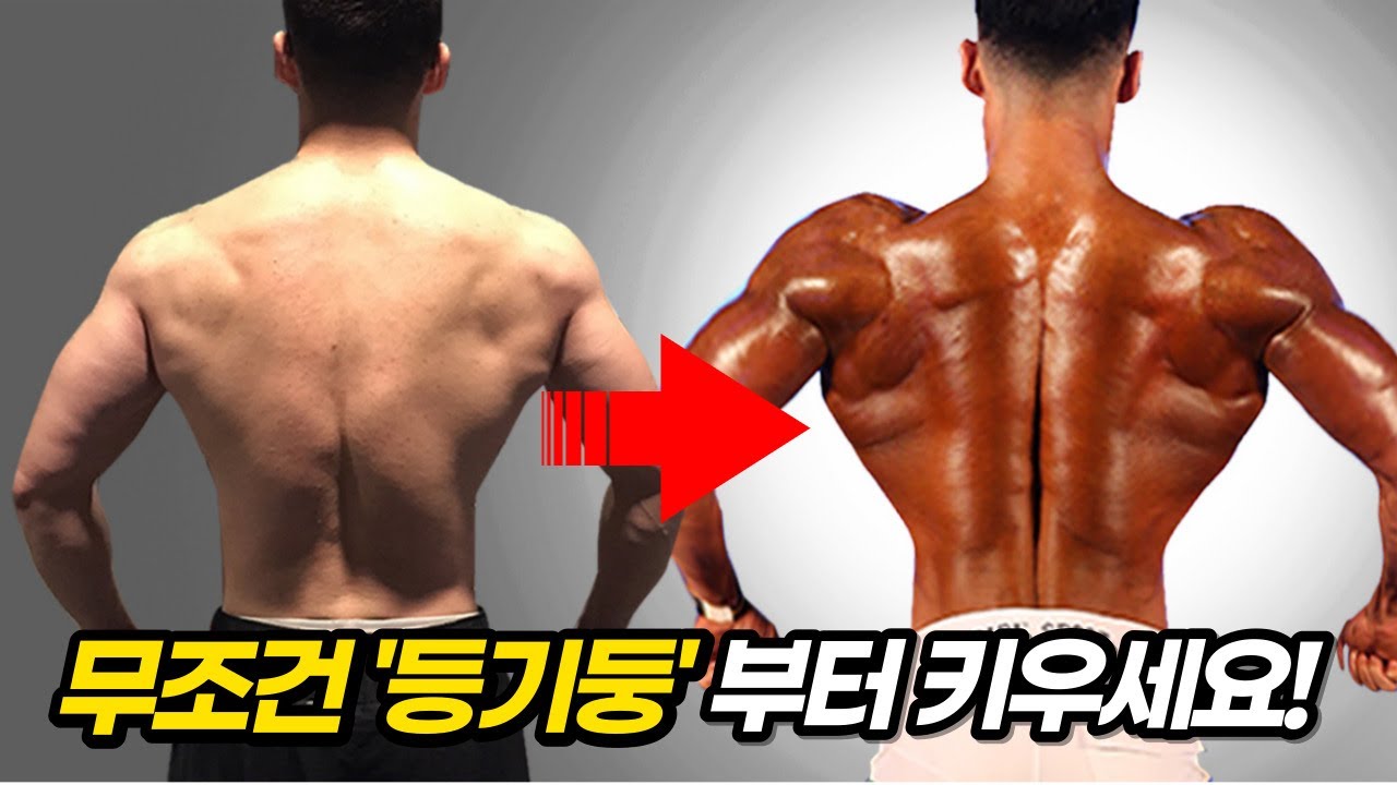 프레임 넓히려면 제발 광배근말고 '등 상부' 부터 키우세요... (feat.등기둥)