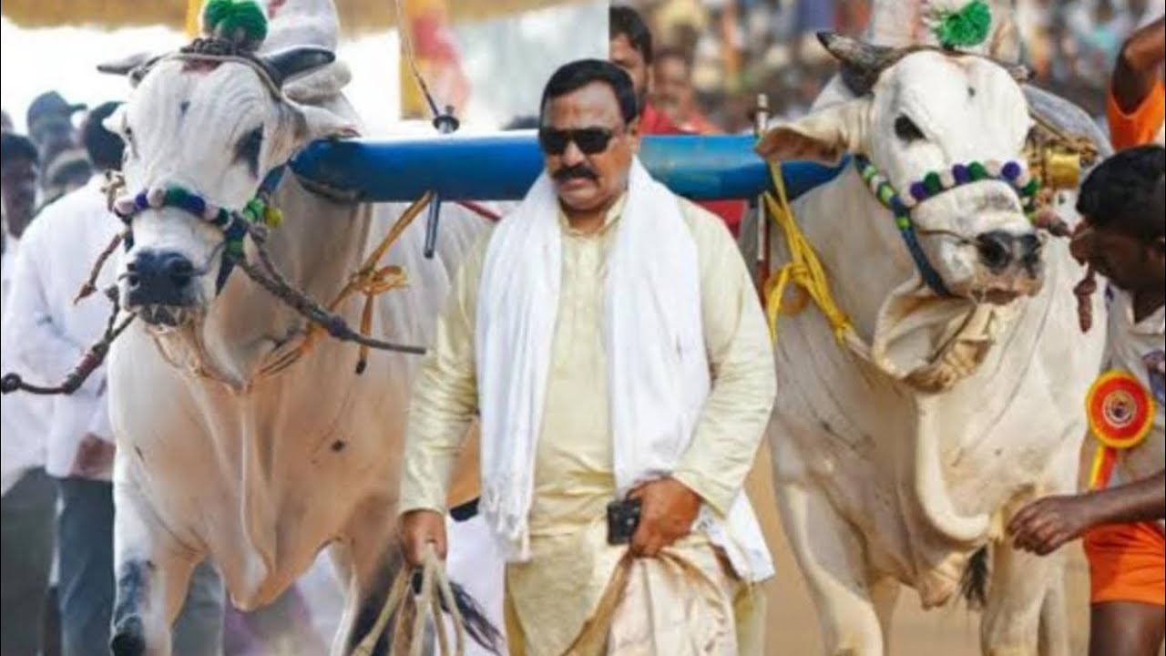 చిలకలూరిపేట లో సీనియర్స్ లో 14 వ  సుంకి సురేందర్ రెడ్డి గారు