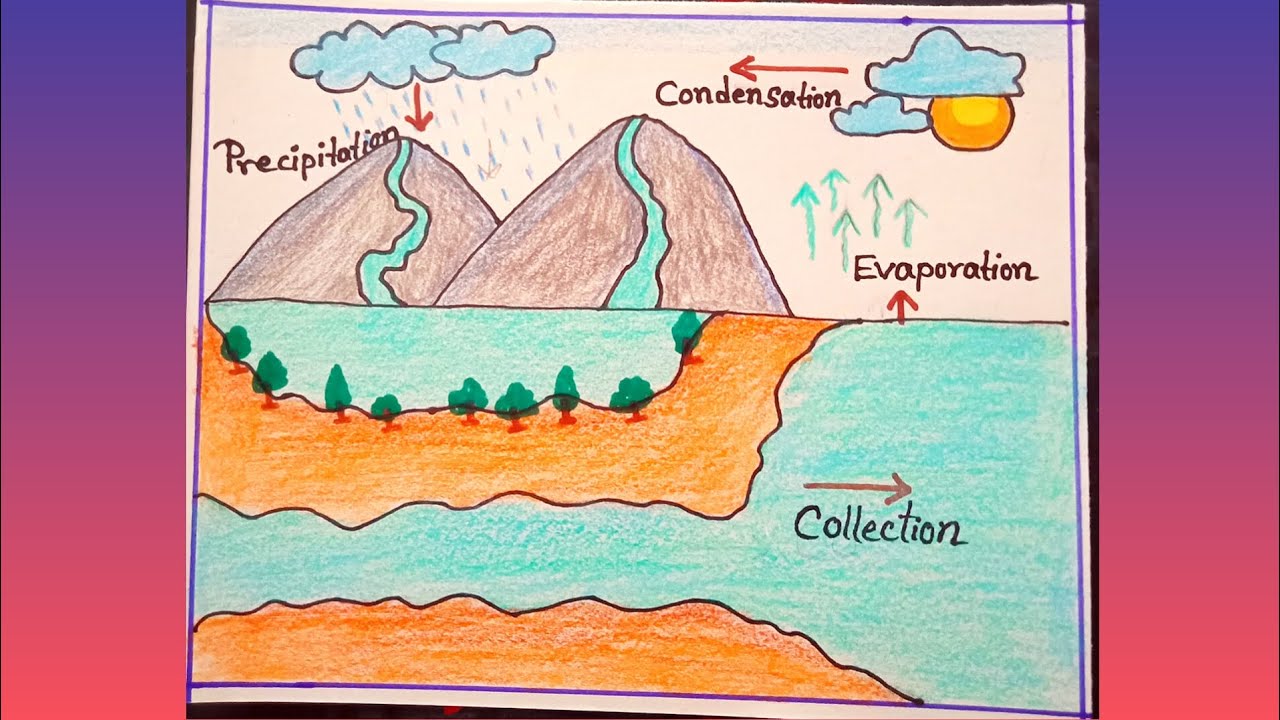 Easy water cycle drawing/Water cycle poster drawing/How to draw water cycle chart/Water cycle chart