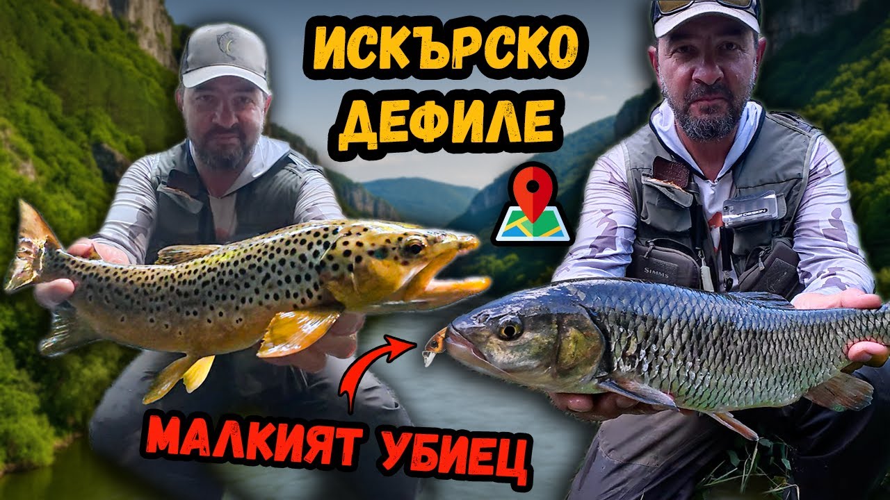 Кефали на р.Искър в дефилето… но ме чакаше трофейна ИЗНЕНАДА! Риболов на кефал и пъстърва